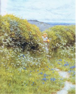 Cow Parsley and Bluebells